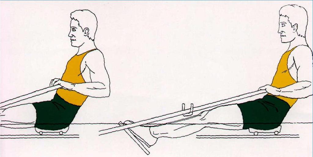 5. Finish & Release Legs (knees) are locked down Strong posture with the lower back is maintained Shoulder blades retracted Elbows drawn back with flat wrists