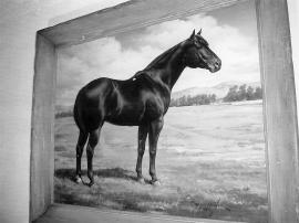 Paul A 1948 Black Stallion (Star Deck x Little Dixie Beach) by Orren Mixer Offered by Aubrey May Paul A, a 1948 black stallion by Star Deck and out of Little Dixie Beach, was one of the breed s first