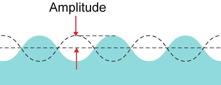 Distant points on the wave oscillate up and down with the same frequency. A wave carries its frequency to every place it reaches.