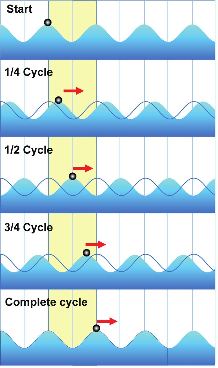 When a wave moves through water, the water itself stays in the same average place. The illustration below shows how to measure the speed of a wave.