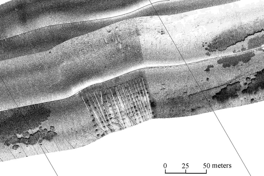 Puget Sound Research 2001 eelgrass dock eelgrass Figure 2. Example of side scan sonar mosaic from the study area, with eelgrass and dock delineated.