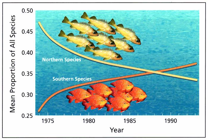 Observed changes in fisheries Reduced Abundance of Zooplankton and Temperate Fish Off Southern California During Two Decades of Warming. Roemmich, D. and J. McGowan.