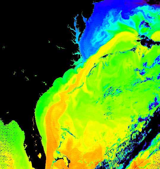 Impacts on fisheries North Atlantic Northward