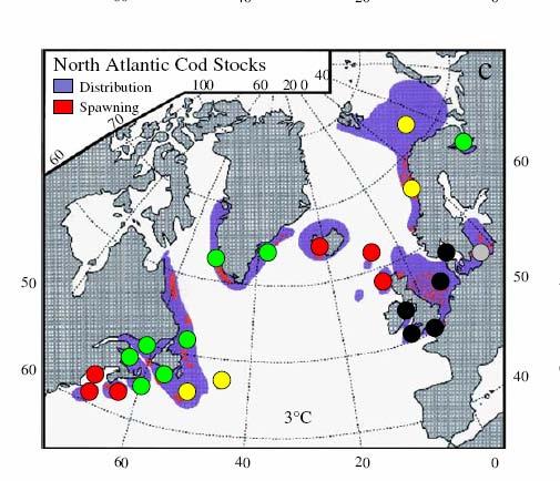 species north Reduced ranges of Arctic species &