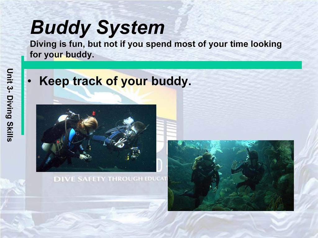 The following points help you keep track of your buddy: Agree on a leader. Discuss the dive before you get in the water.
