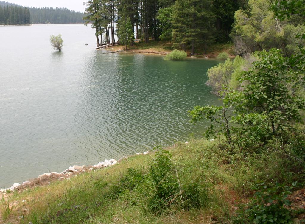 Bass Lake, a four mile-long and half-mile wide reservoir with 1,165 surface acres and 15 miles of shoreline at the full pool elevation of about 3,377 feet.