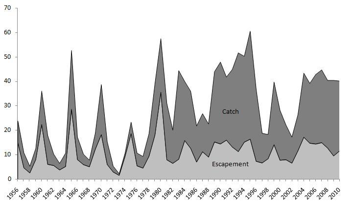Millions of sockeye Year Figure 27 Historical depiction of catch and