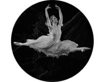Repertoire highlights include; Principal and Soloist roles under the direction Francois Klaus s and Li Cunxin including The Little Mermaid, The Sleeping Beauty, The Nutcracker, Carmen, Othello and