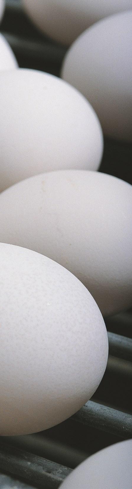 Hatching Egg Imports Trade Partners 1 United States 59,209,760 64,323,679 65,918,221 67,713,651 41,063,089 2 China 28,748 235,029 261,319 256,736
