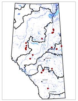 a Aged Rivers b All Aged Rivers Sample Size > 20 c d 1975-1984 1985-1994 e 1995-2005 Figure 19. The distribution of rivers in Alberta for which aging information is available.