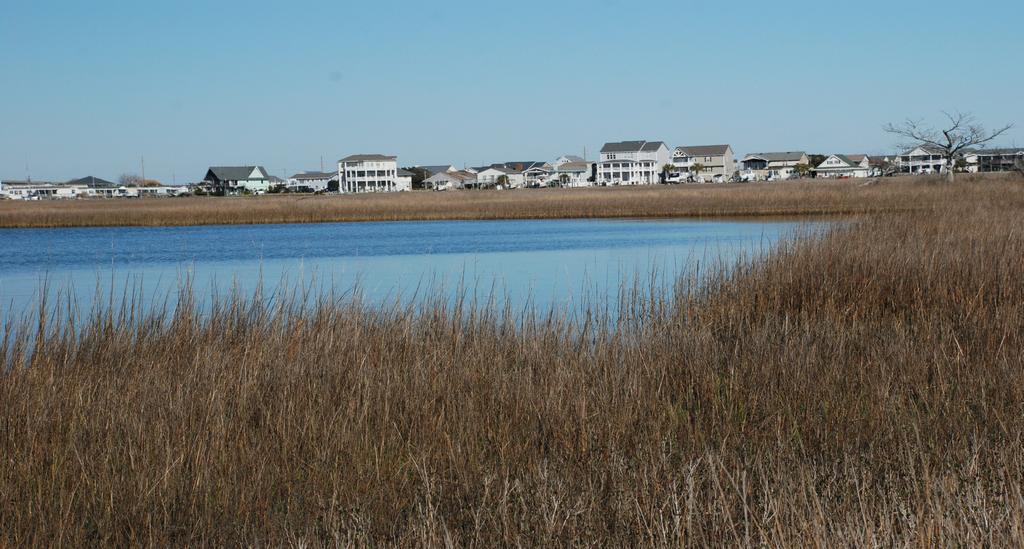 Estuarine Shoreline Stabilization Property Owner s Guide to Determining the Most Appropriate Stabilization Method Estuarine shorelines are dynamic features that experience continued erosion.