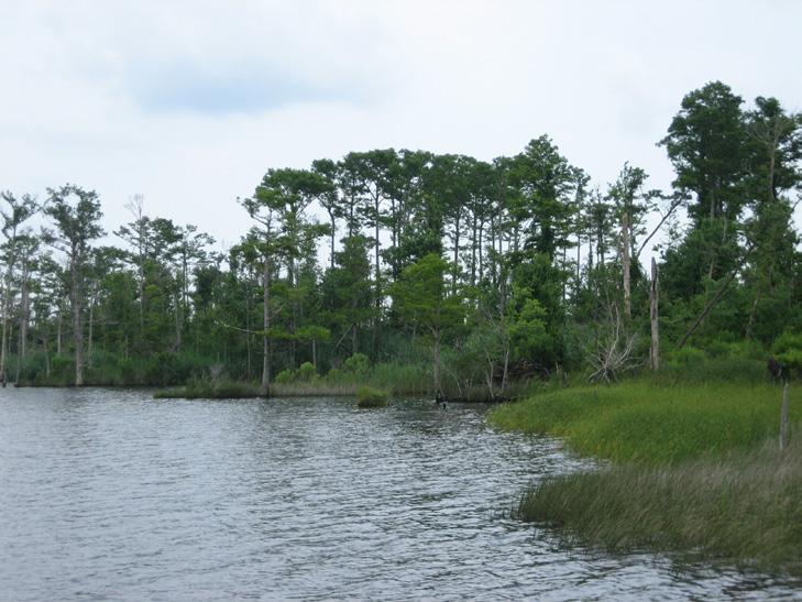 Estuarine Shoreline Stabilization Descriptions Land Planning Land planning is designing your property around existing conditions and possible erosion.