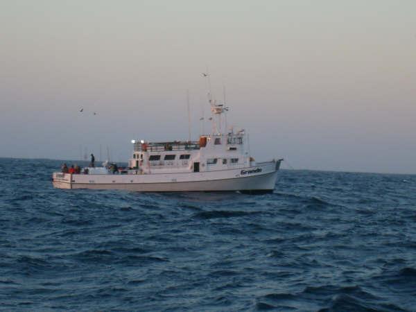 Methods Commercial passenger fishing vesselsca Southern California