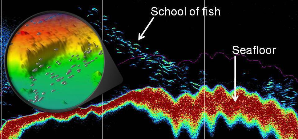 Sound and Light in the Ocean When we think of waves in the ocean we often don t think about the sound and light waves that allow for communication and visibility underwater.