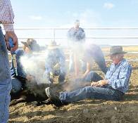 As the day wore on and the day got hotter, some calves were brought back with only one leg roped, but always with a smile and an apology from the roper.