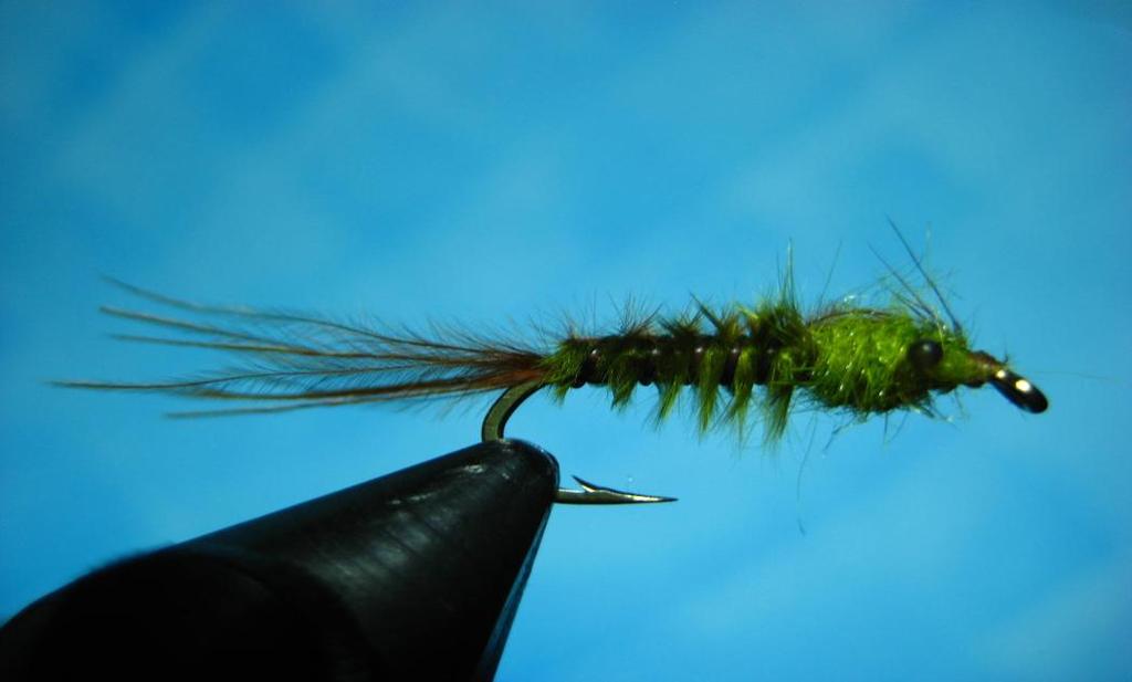 Newsletter of the Truckee River Flyfishers Page 4 d Hare No Name Damsel Nymph The No Name Damsel Nymph is a great still water fly pattern that s quick and easy to tie.