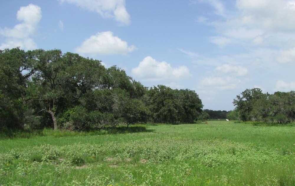 Acreage: 753+ Acres (657 acres under high fence + 96+ acres outside high fence) Location: 18706 County Road One (1) Hallettsville, Texas County: Lavaca County Soils: Sandy to Sandy Loams Water: Five