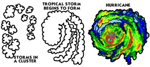 Answer D an increase in the probability of a hurricane Hurricanes are born over warm,