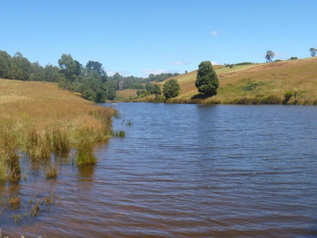 2. Venues two: Will be fishing from a bank on four separate dams, (Dams are all in close proximity to Burnie populated by both Brown and Rainbow to double figure size).