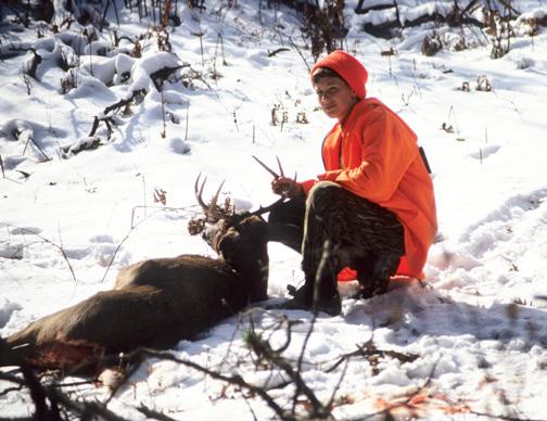 District Deer Season Forecasts Whitetail Deer fawning season in somewhat better condition.