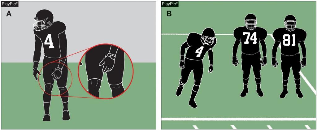 .. Prior to the start of the game, the head coach shall be responsible for verifying to the referee and another game official that all of his players are legally equipped in compliance with these
