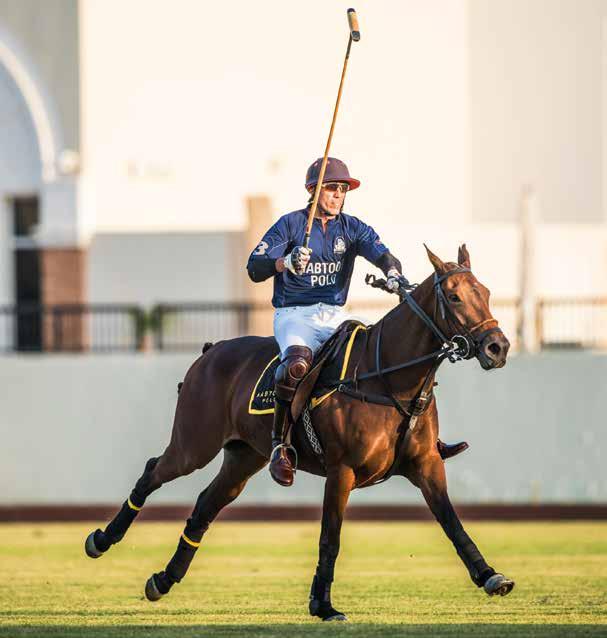 POLO You are the captain of the Al Habtoor Polo Team. You have participated in numerous polo tournaments both locally and globally. What was the biggest success in your polo career?