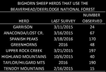 There are 8 bighorn sheep herds that utilize the BDNF that are managed by MFWP.