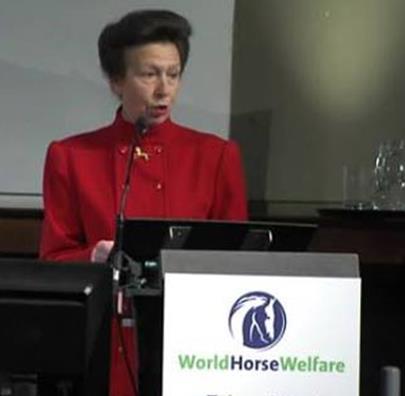 World Horse Welfare Every horse should be treated with respect, compassion and understanding.