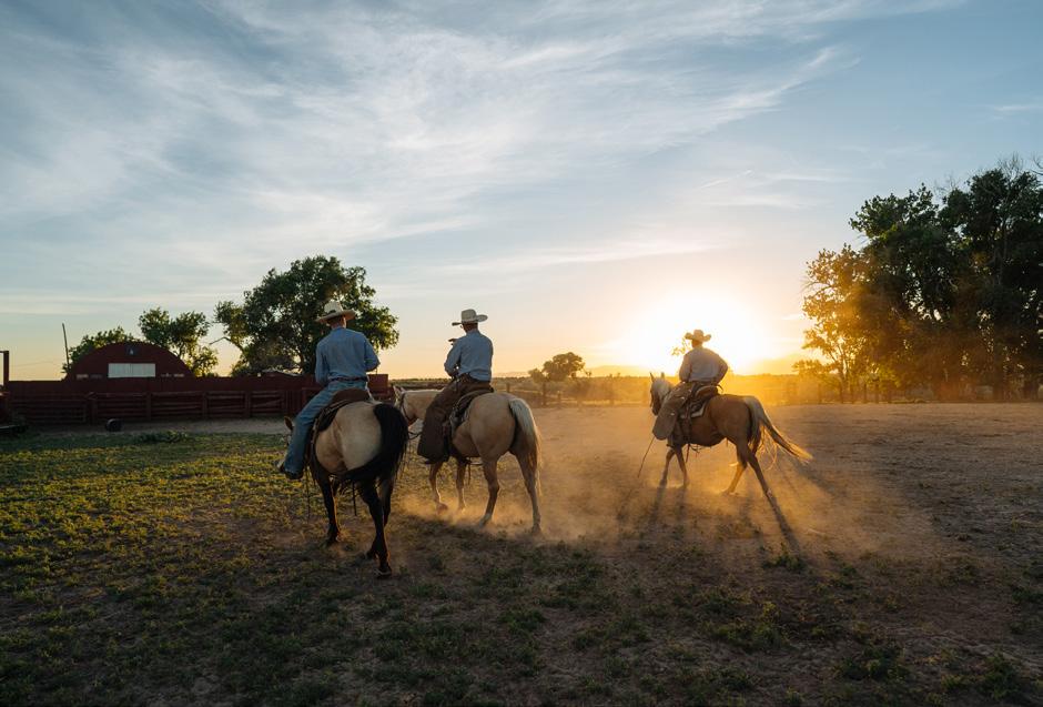 Guests on our ranches have the opportunity to experience a number of activities ranging from intimate homestays and upscale tent camps to simple and tasteful lodge settings.