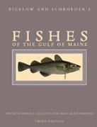 Fishes of the Gulf of Maine by Bigelow & Schroeder is the seminal work on North Atlantic fishes.