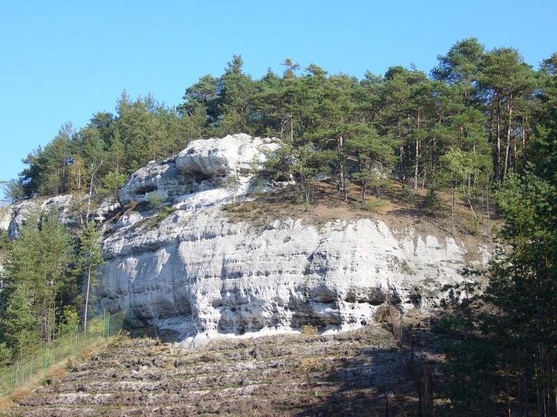8 A rock faces in the game preserve OUR OFFER 2018 All the basic prices in this offer are defined mainly in CZK.