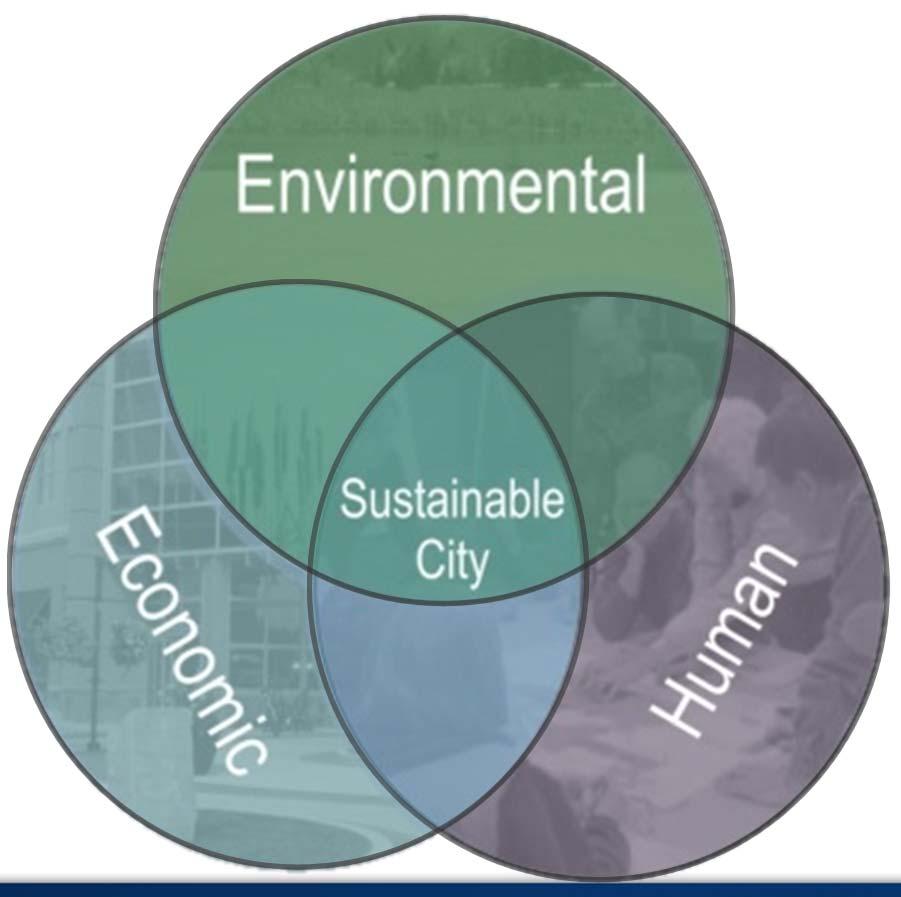 Safe Sustainable - Choices Transportation is essential to the Triple Bottom Line for sustainability Human: Transportation is a key factor in public health, safety, livability, and social equity