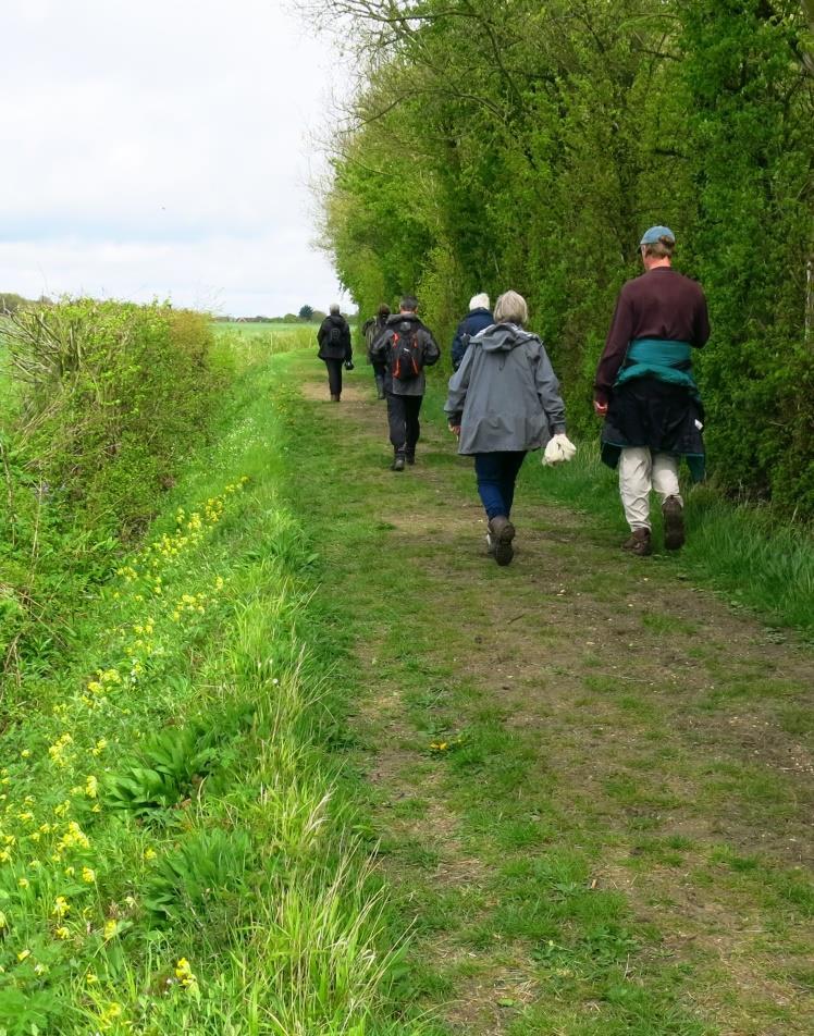 10 Village walk and picnic, a.m. 3 May (left) Toft villagers walk one of the footpaths marking the boundary of Toft Parish.