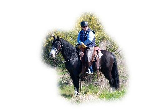 ORCWDA and Blu Hole Ranch host: COWBOY DRESSAGE with Dee Myers CD Judge and Clinician June 22-24, 2018 Dee is a Recommended Cowboy Dressage Judge and Clinician.