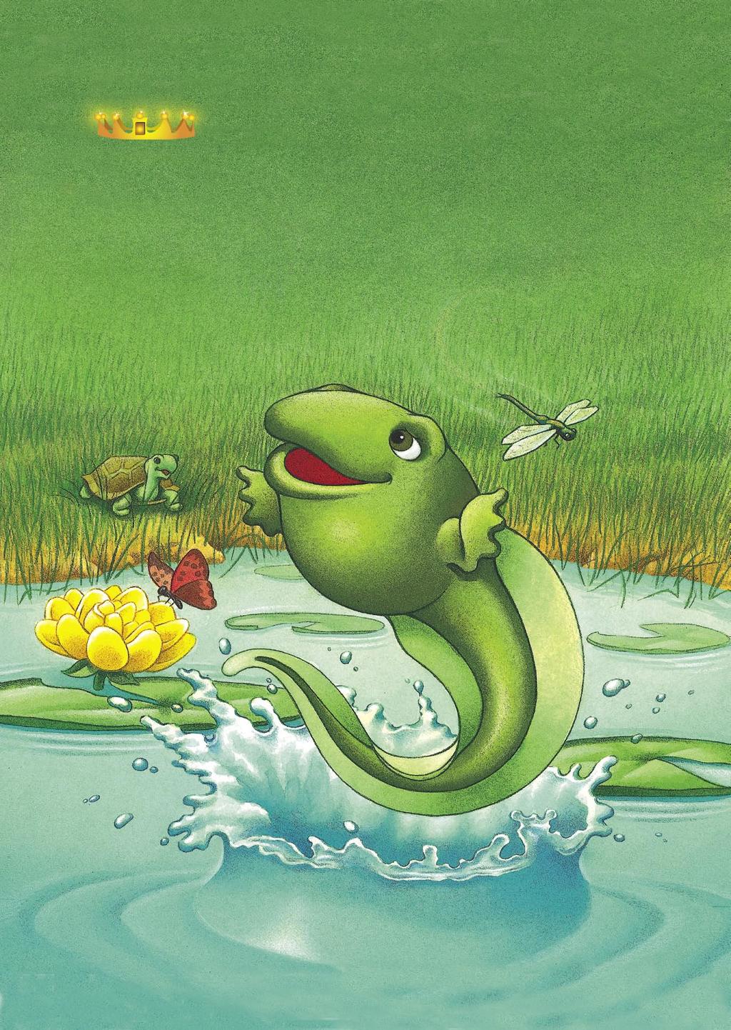WIDTH 203MM+6MM FLAP 92MM $16.95 U.S. $25.95 Can. E 9MM Another Sommer-Time Story By Carl Sommer Illustrated by Greg Budwine T ombo the tadpole thinks he is the king of the pond.