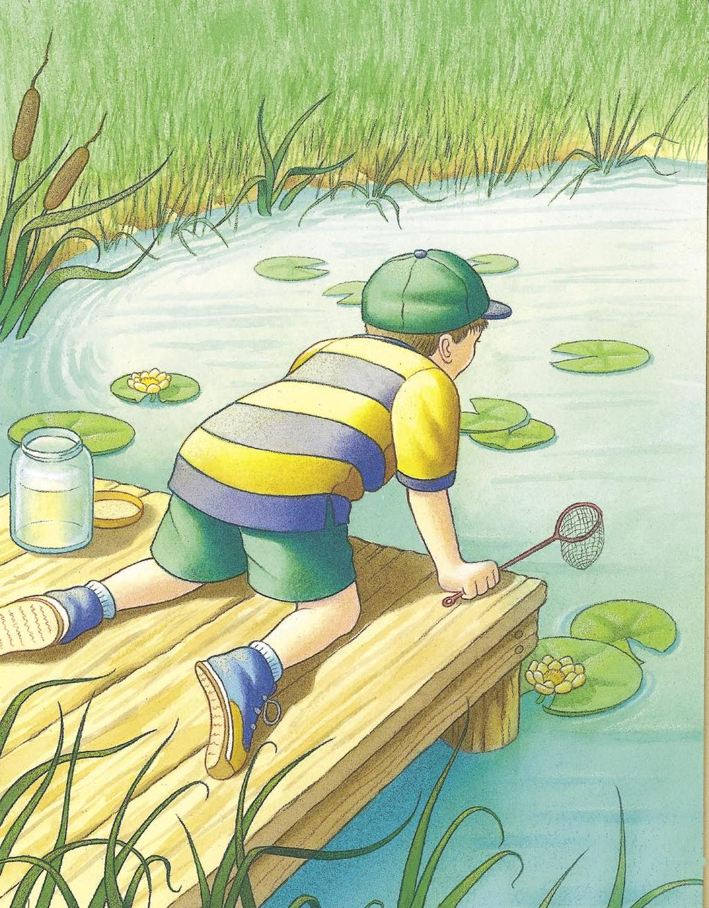 Meanwhile, at the other end of the pond, a boy named Alex was trying to catch some fish with his net.
