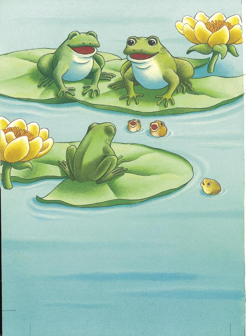 Then Tombo realized that he was now the smallest, the slowest, and the weakest frog in the pond. He felt ashamed for the way he had treated his friends.