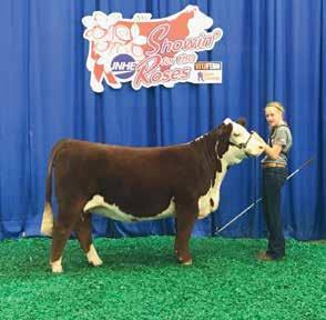 Lamb Brothers Beef Initiates Junior Incentive/Scholarship Program NATIONAL JUNIOR HEREFORD EXPOSITION Grand Champion Female... $10,000 Reserve Champion Female... $5,000 Division Champion.