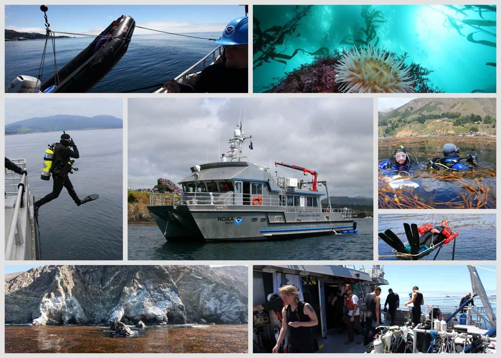 Summary of SCUBA Diving Operations Conducted From R/V Fulmar Fiscal Year 2010