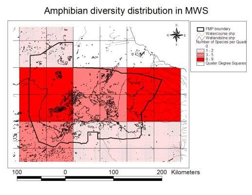 Figure 22: Spatial distribution map of amphibian diversity among quarter degree squares in the MWS Reptiles Fourteen families and seventy-one species of reptiles have been recorded in the Pans area,