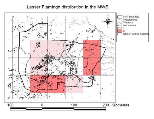 Figure 29: Spatial distribution map of Lesser Flamingo in the MWS, adapted from the Botswana Bird Atlas b.