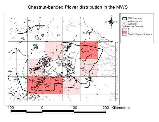 Figure 33: Spatial distribution map of Chestnut-banded Plover in the MWS Lappet-faced Vulture Aegypius tracheliotus: Vulnerable a.