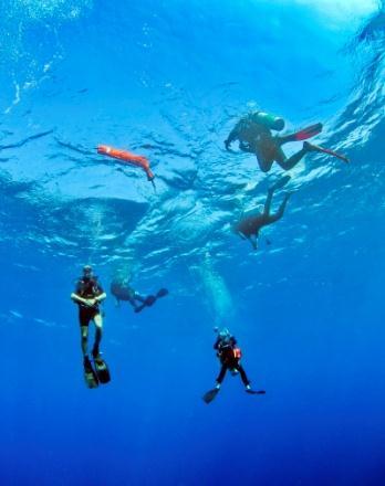 We follow the Maldivian diving regulations, which include: No diving deeper than 30 metres Certified divers must present an international scuba diving license A 24 hour surface interval is