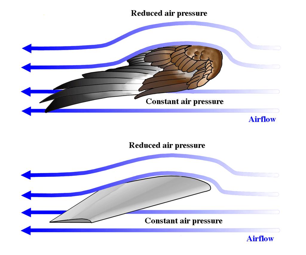 Speed As an aircraft's speed increases, the faster the flow of air in the opposite direction.
