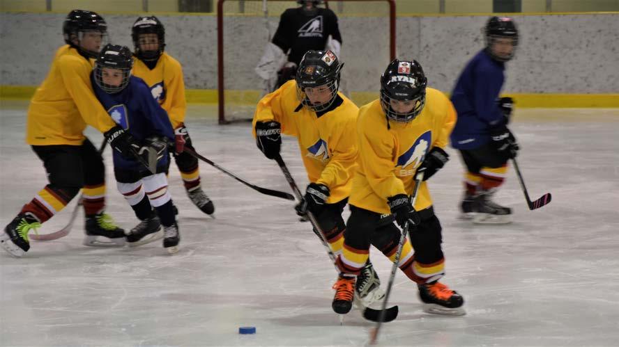Guidelines and Rules of Play 7 Section 4: Novice Game