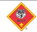2018 Camp Wheeler Advancements - Week 4 Wolf Adventure: Running With the Pack 1.