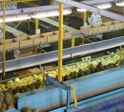 packing line Workers