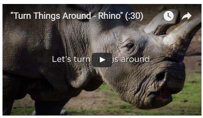 Turn Things Around San Diego Zoo Global is leading the fight against extinction.