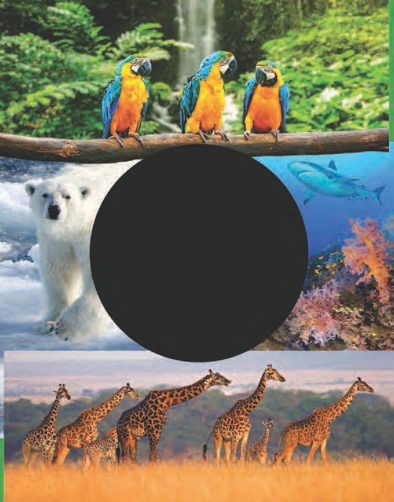 This book features beautiful images and fascinating information on all the major animal habitats in the world.