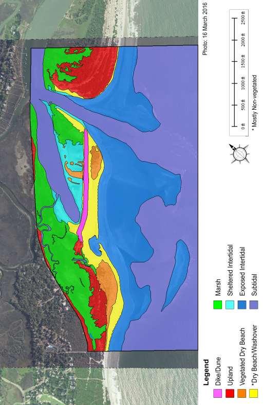 FIGURE 4.11. Delineation of habitats around Captain Sams Inlet in March 2016, nine months after inlet relocation.